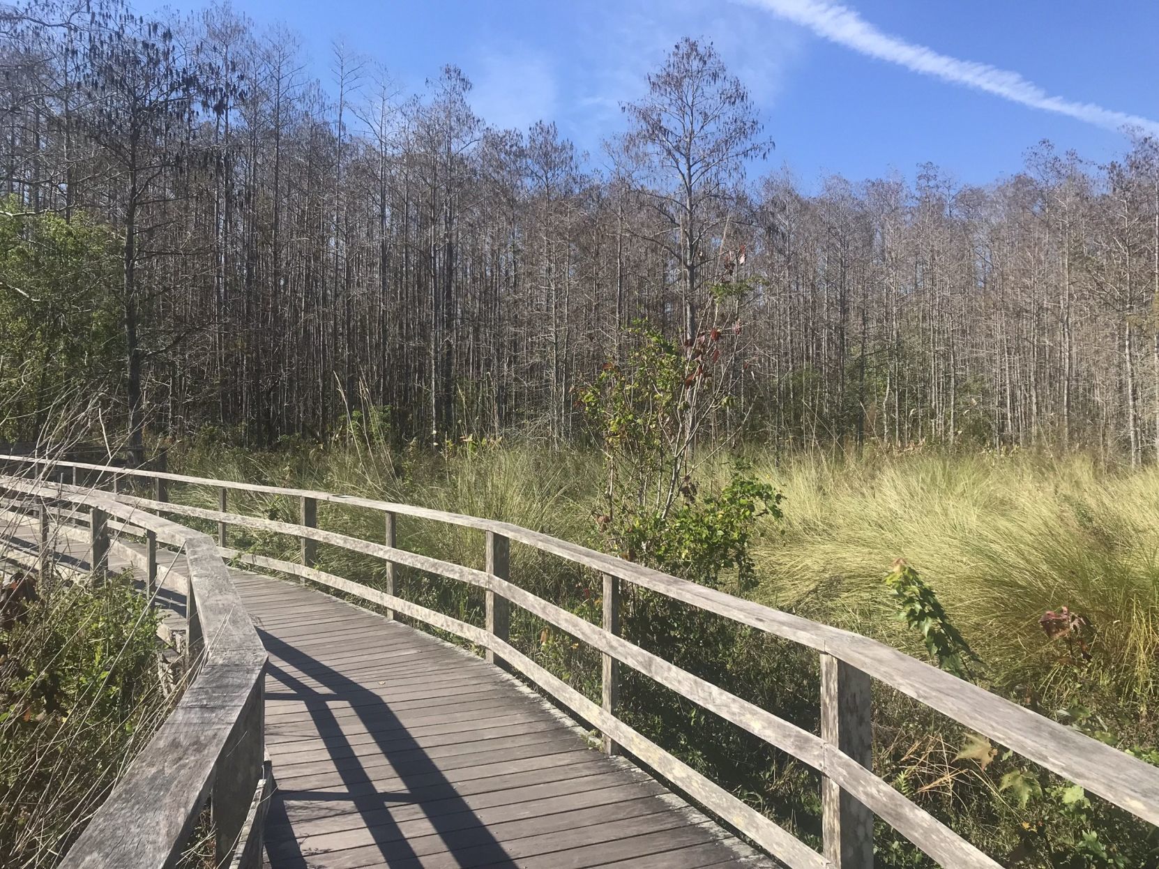 Travel to Sanibel
